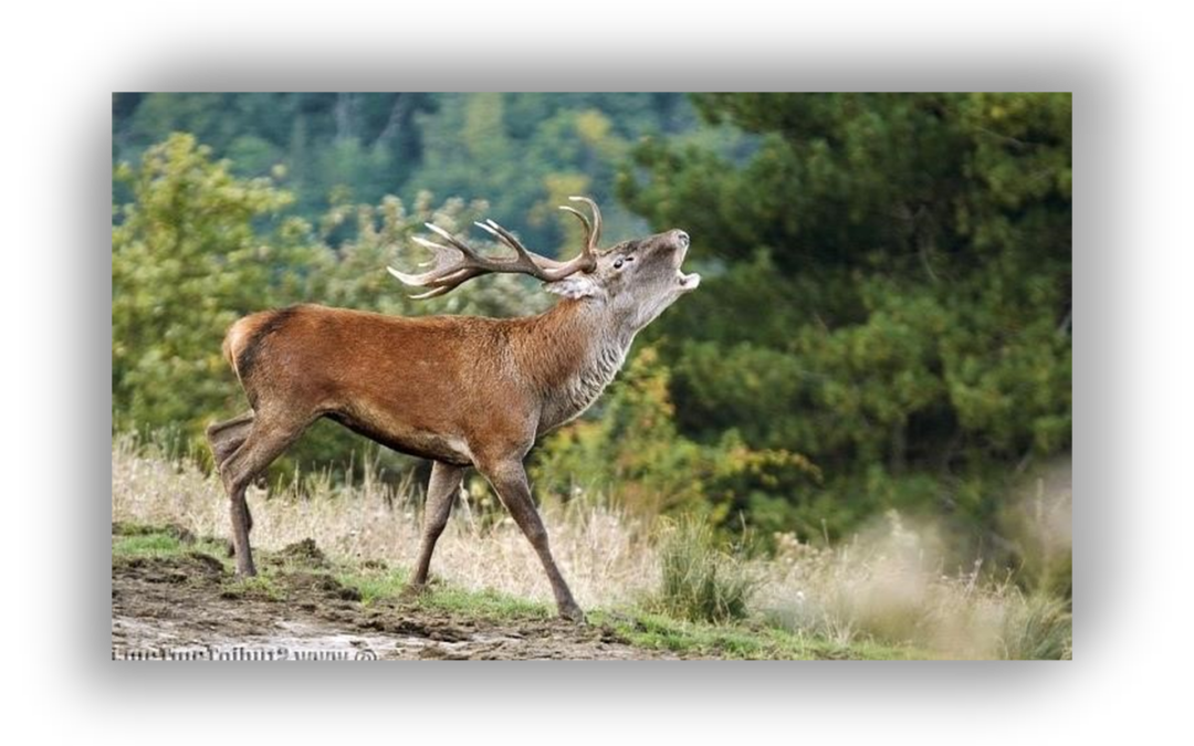 La passeggiata nella Valle dei Bagni è ANNULLATA