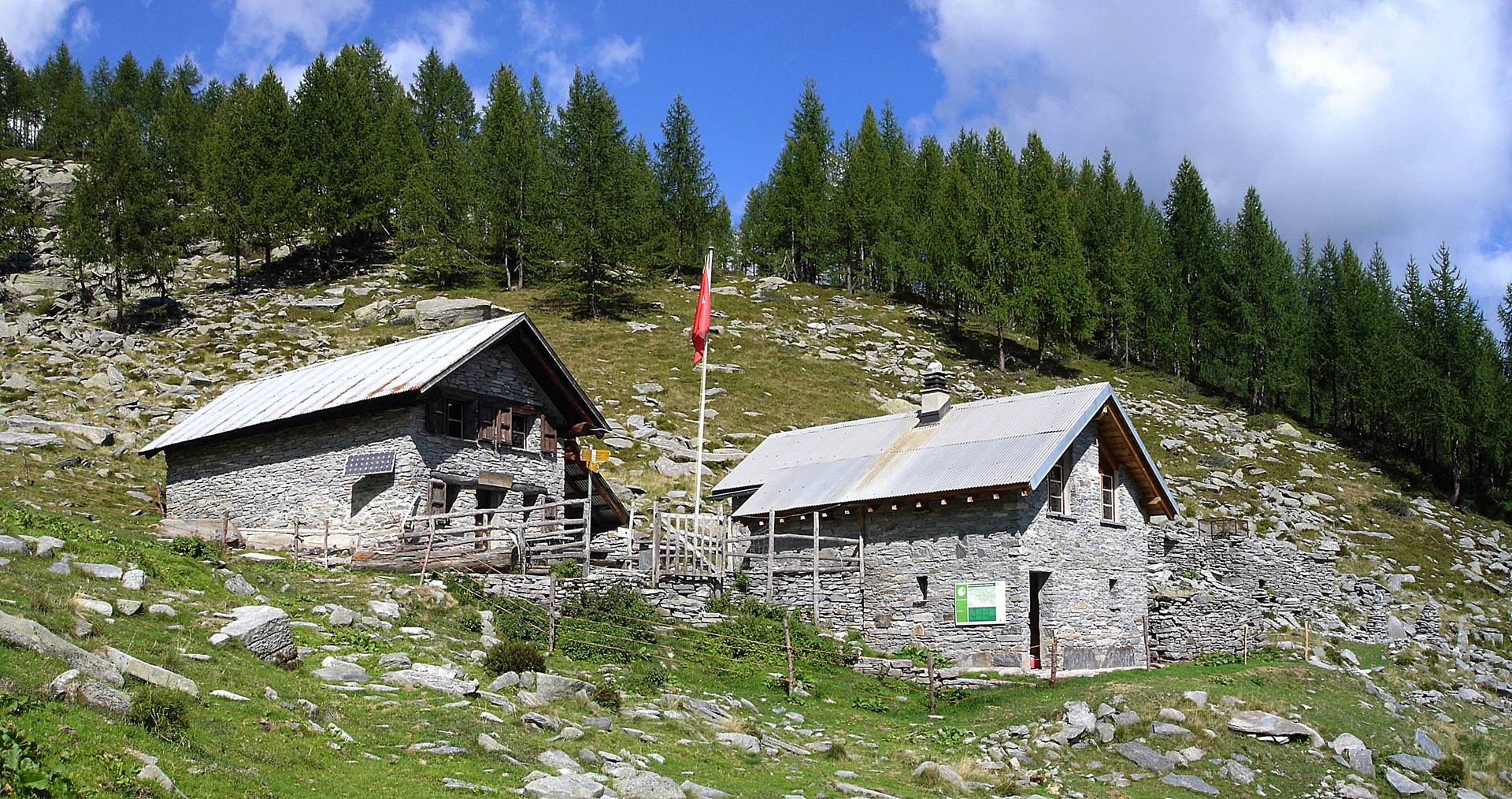 arena2