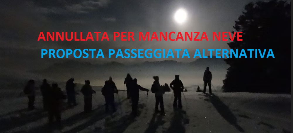 Salei – Ciaspolata al chiar di luna – ANNULLATA